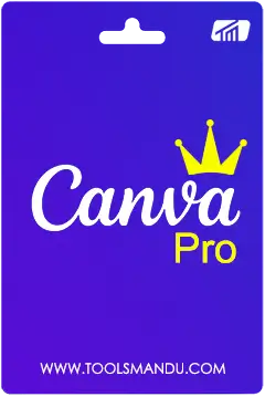 Canva Professional