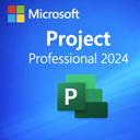Project Professional