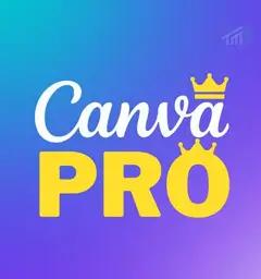 Canva Professional