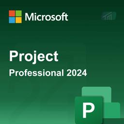 Project Professional