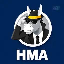 HMA VPN