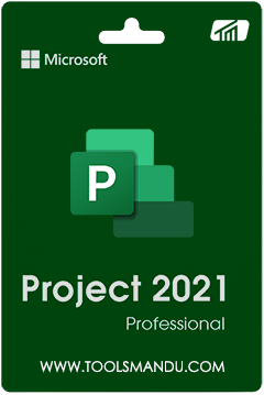 Project Professional